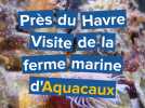 Visite de la ferme marine d'Aquacaux
