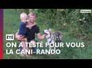 J'ai testé pour vous la cani rando