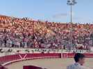 Voix de stentor dans les arènes