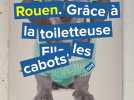 Les cabots ont du chien grâce à la toiletteuse Ella