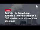 VIDEO. Énergie : le Kazakhstan autorisé à livrer du charbon à l'UE via des ports russes sous sanctions