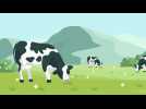 GAIA - 