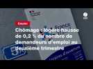 VIDEO. Chômage : légère hausse de 0,2 % du nombre de demandeurs d'emploi au deuxième trimestre
