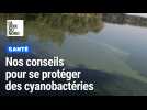 Nos conseils pour se protéger des cyanobactéries