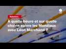 VIDÉO. Natation. À quelle heure et sur quelle chaîne suivre les Mondiaux avec Léon Marchand ?