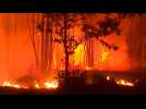 Le Portugal en état d'alerte maximal après plusieurs feux de forêt