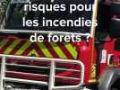 Ain : quels risques d'incendie pour nos forêts?