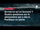 VIDEO. Qu'est-ce qu'un tsunami ? Quatre questions sur le phénomène qui a mis le Pacifique en alerte