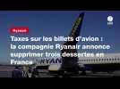 VIDEO. Taxes sur les billets d'avion : la compagnie Ryanair annonce supprimer trois dessertes en France
