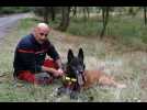 Lemon, berger belge malinois du centre de secours principal de Mulhouse, récemmennt décoré