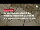 VIDEO. La sécheresse atteint des niveaux record en Europe et sur le pourtour méditerranéen