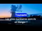 Méga séisme: les sites nucléaires sont-ils suffisamment préparés ?