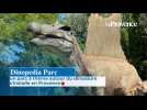 Dinopedia Parc, un parc à thème autour des dinosaures s'installe en Provence
