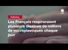 VIDEO. Les Français respireraient plusieurs dizaines de milliers de microplastiques chaque jour