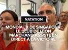 Mondiaux de Singapour : Le club de Léon Marchand assiste en direct à la victoire