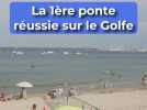 Cavalaire : Comment préserver la ponte d'une tortue marine sur la plage ? On vous explique