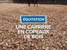 Carrière an copeaux de bois