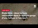 VIDEO. États-Unis : deux tortues retrouvées dans le soutien-gorge d'une femme à l'aéroport