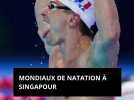 Mondiaux de natation : Grousset sacré sur 50 m papillon