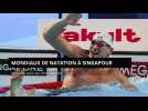 Mondiaux de natation : Grousset sacré sur 50 m papillon