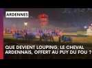 Que devient Louping, le cheval ardennais offert au Puy du Fou ?