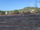 Incendie à l'entrée du village naturiste du Cap d'Agde : le jour d'après.