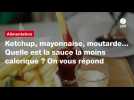 VIDEO. Ketchup, mayonnaise, moutarde... Quelle est la sauce la moins calorique ? On vous répond