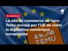 VIDEO. Le site de commerce en ligne Temu accusé par l'UE de violer la législation numérique européenne