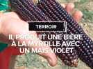 Il produit de la bière à la myrtille avec un maïs violet