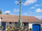 Vidéo. Une fleur très rare pousse dans ce village de Vendée