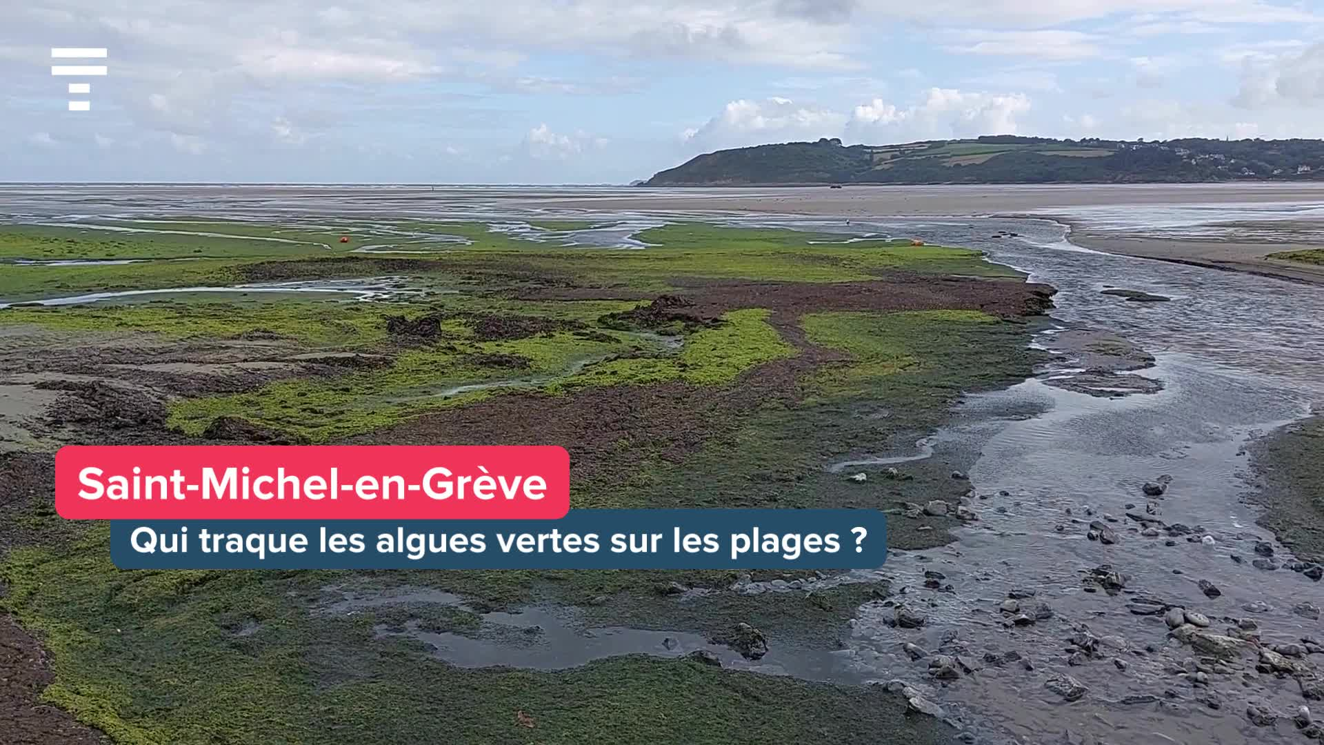 « On se cale sur les horaires des marées » : ils traquent les algues vertes de Trédrez-Locquémeau à Locquirec [Vidéo]