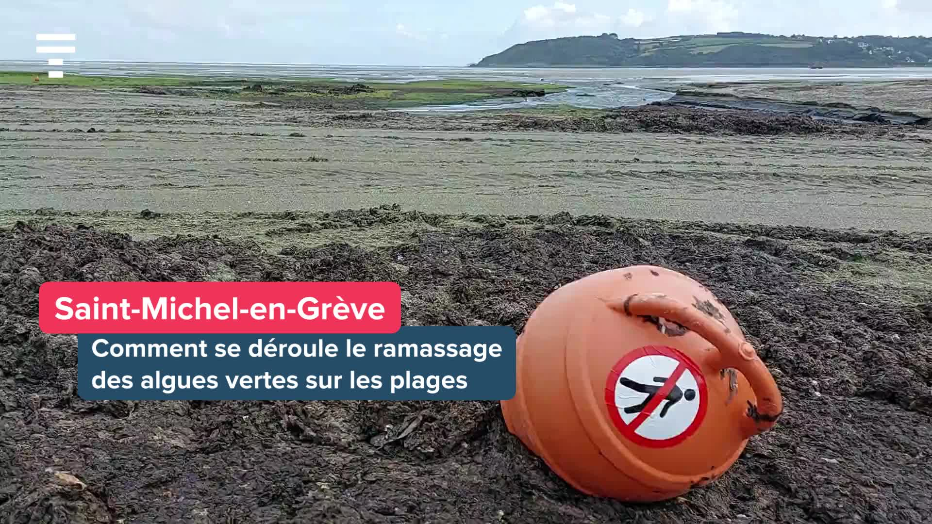 « Ramasser le plus rapidement possible » : qui fait disparaître les algues vertes des plages ? [Vidéo]