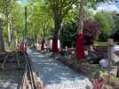 Travaux sur les deux branches du tramway : le chantier de l'été dans la métropole de