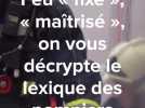 Incendies : feu « fixé », « maîtrisé » ou « circonscrit », ce que cache le lexique des pompiers, on vous explique