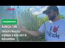 Hazebrouck : Edouard Roussez evoque les propriétés du miscanthus