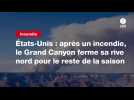 VIDEO. États-Unis : après un incendie, le Grand Canyon ferme sa rive nord pour le reste de la saison