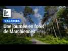 Une journée en forêt de Marchiennes
