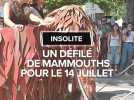 Fête nationale du 14-Juillet : 10 ans plus tard, le défilé de mammouths revient à Cabrerets