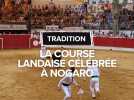 Course landaise : Jérôme Costarramone triomphe à la Corne d'Or 2025 à Nogaro