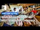 On a testé pour vous, la traite des chèvres et le nourrissage des chevreaux à Fontaine-au-Pire.