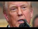 VIDÉO. « Ce qu'ils font est écoeurant », Trump juge la dernière vague de frappes russes sur l'Ukraine