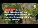 VIDEO. Droits de douane : les vignerons ne doivent « pas être sacrifiés au profit d'un autre » secteur