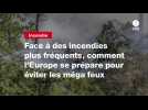 VIDEO. Face à des incendies plus fréquents, comment l'Europe se prépare pour éviter les méga feux