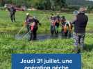 Pêche électrique de poissons sur l'Iton par le SMABI