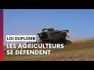 Loi Duplomb : les agriculteurs marnais se défendent