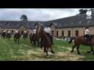 VIDÉO. Normandie horse show : le Cob normand à l'honneur au haras de Saint-Lô