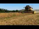Duplomb-Menonville : la loi qui divise le monde agricole et les citoyens