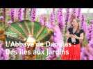 Abbaye de Daoulas : L'exposition îles et les jardins à découvrir