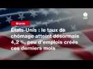 VIDEO. États-Unis : le taux de chômage atteint désormais 4,2 %, peu d'emplois créés ces derniers mois