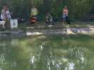 Occi'cani aqua, un centre aquatique pour chiens, a ouvert à Villeneuve-lès-Béziers.